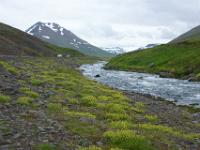 Auffahrt zur Öxnadalsheiði